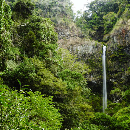 ... og nationalparker som Amber Mountain, hvor regnskoven er fyldt med... 