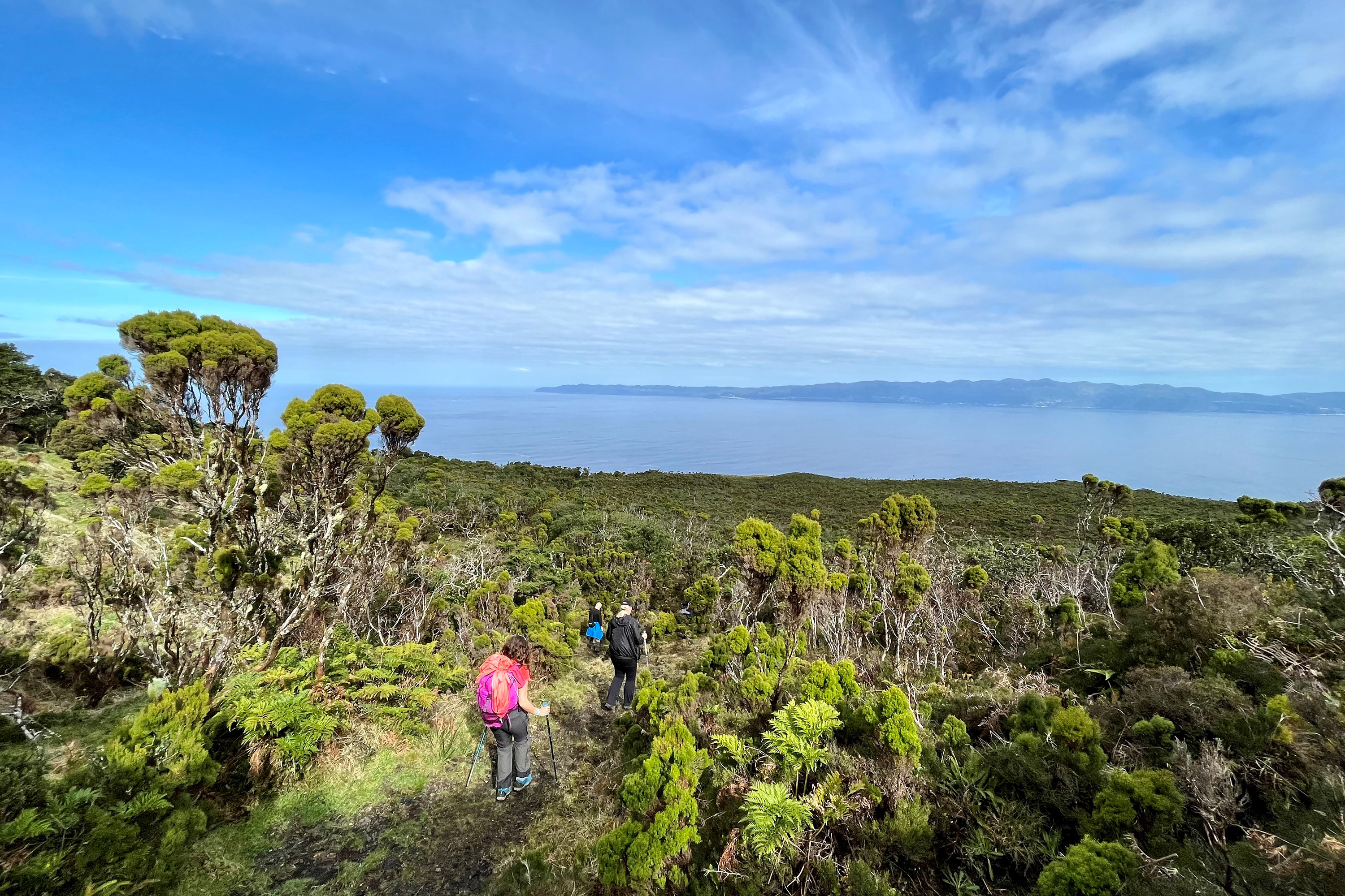 azorerne_pico_vandring_03