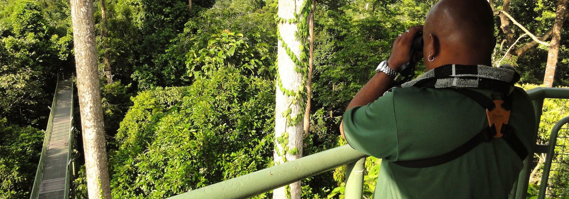 Sabah Sandakan Rainforest Discovery Centre 01