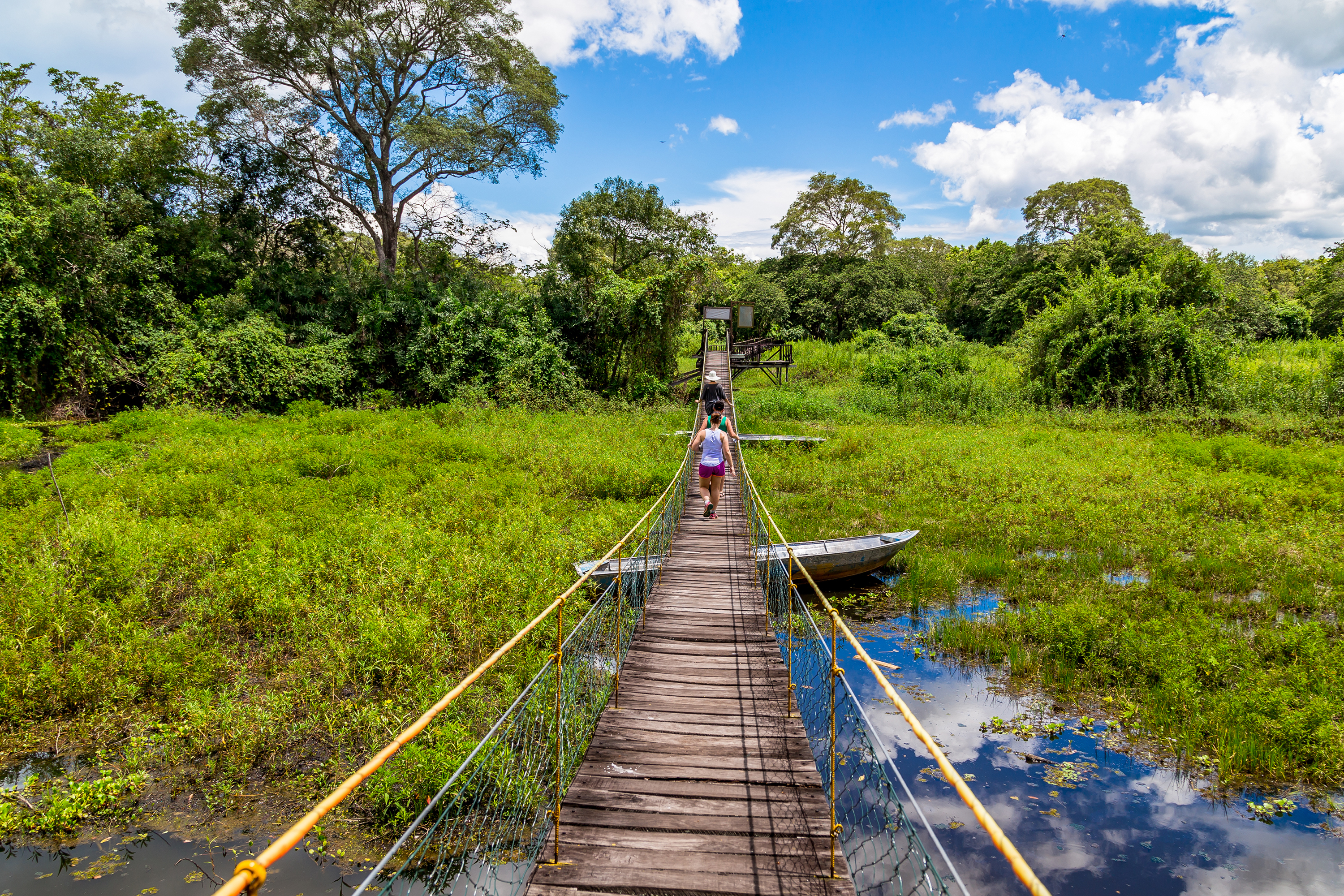 brasilien - pantanal_bro_01