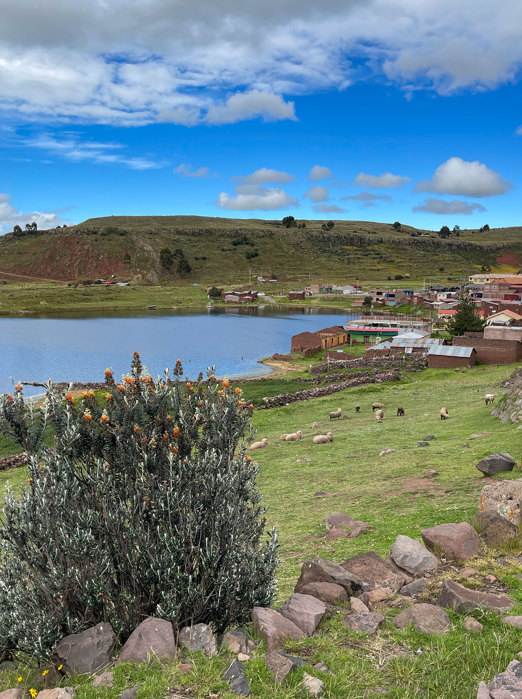 Lille By På Vej Til Puno