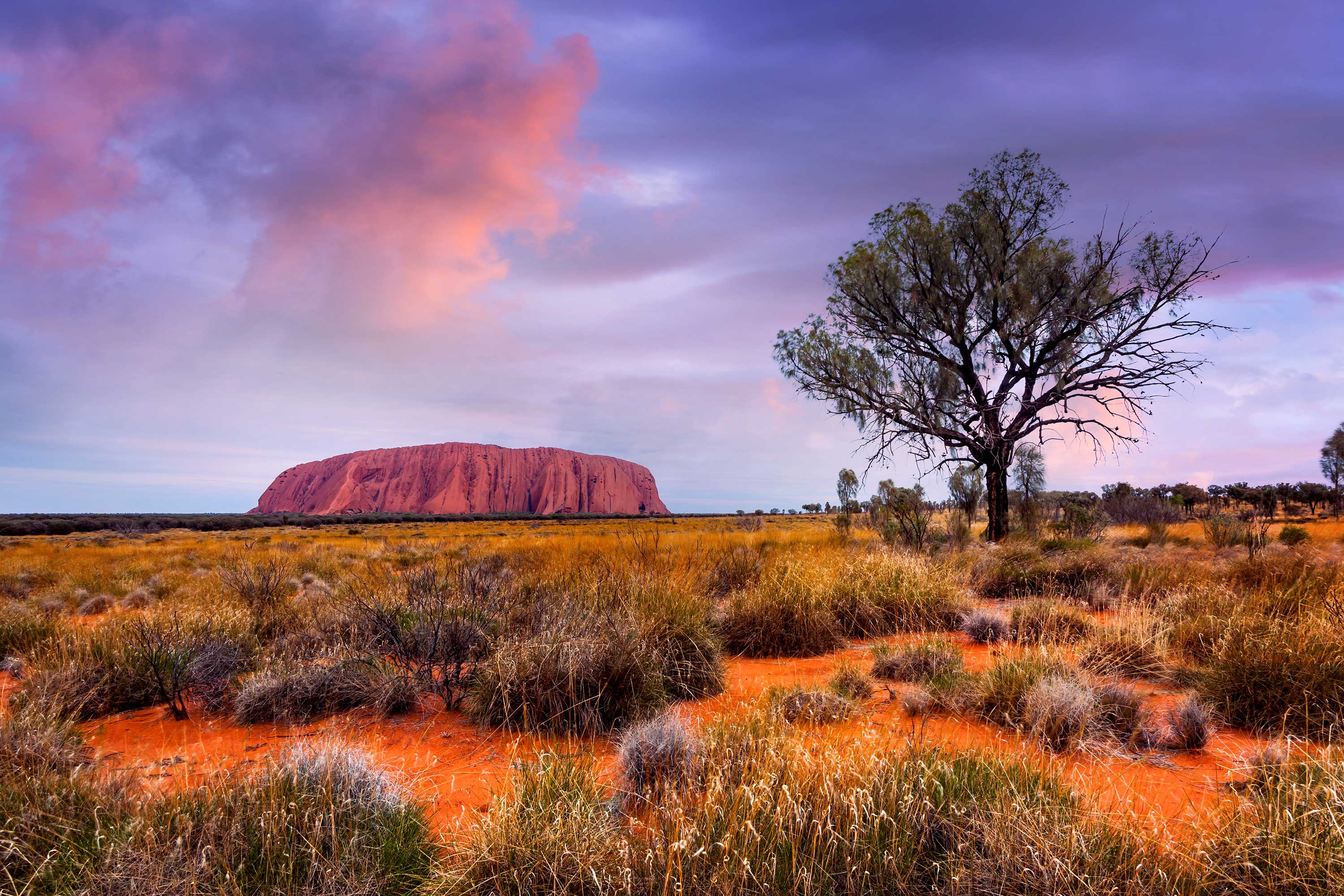 Australien Ayers Rock 15