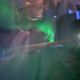 Nordlys på hjemrejsen