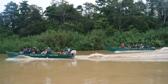 Sukau Rainforest Lodge_01