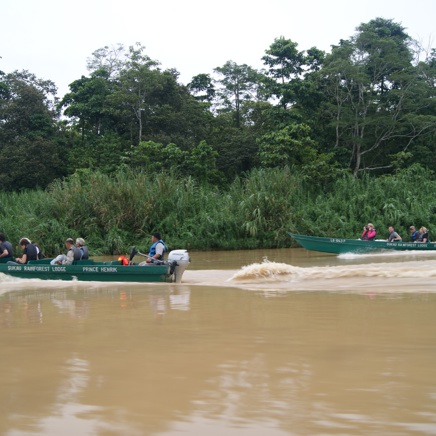 I Sukau bor vi midt i regnskoven.