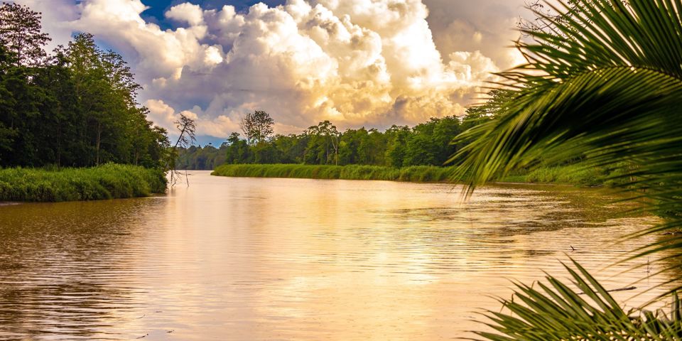 Sukau Rainforest Kinabatangan River 01 553922560