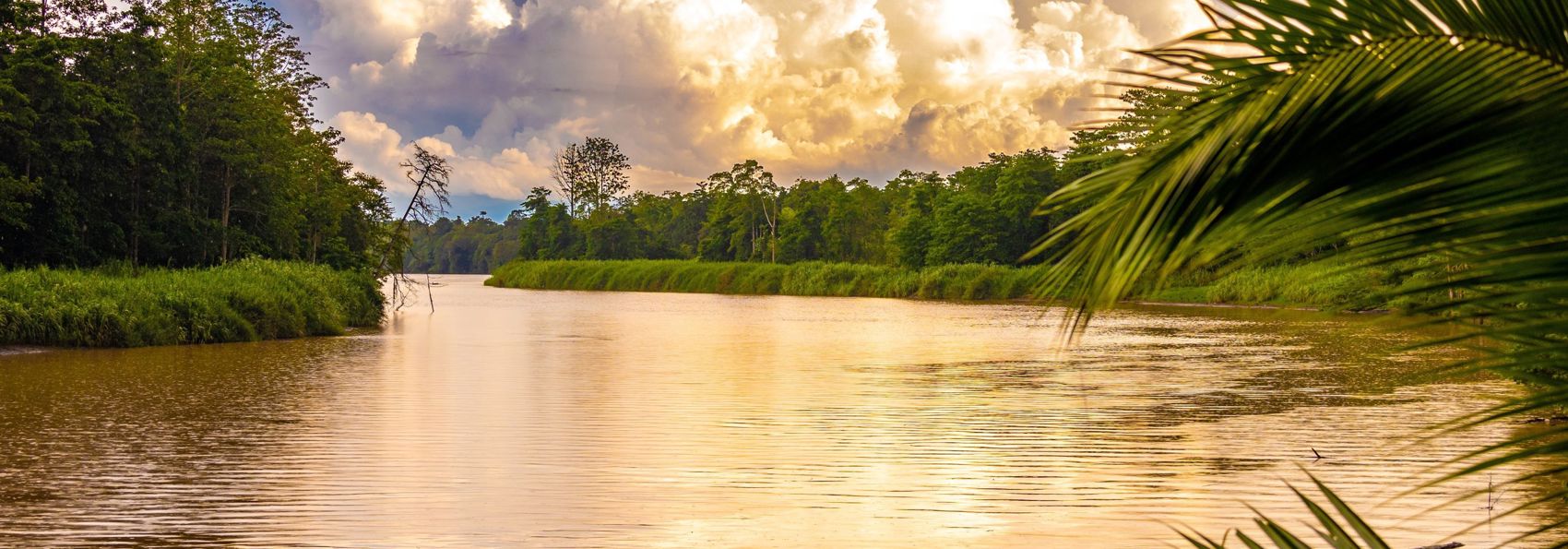 Sukau Rainforest Kinabatangan River 01 553922560