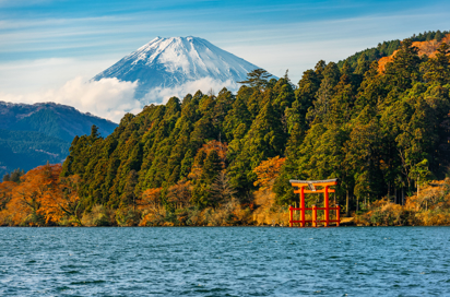 Mt Fuji Skov Og Rød Torri Port I Hakone