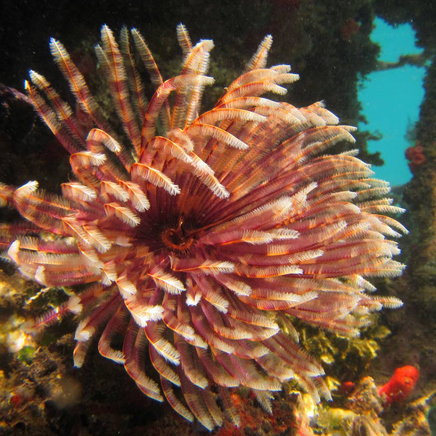 bali - gili asahan_12