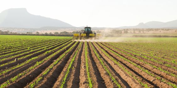 Creel Landbrug Mennonitter GI 1216873537