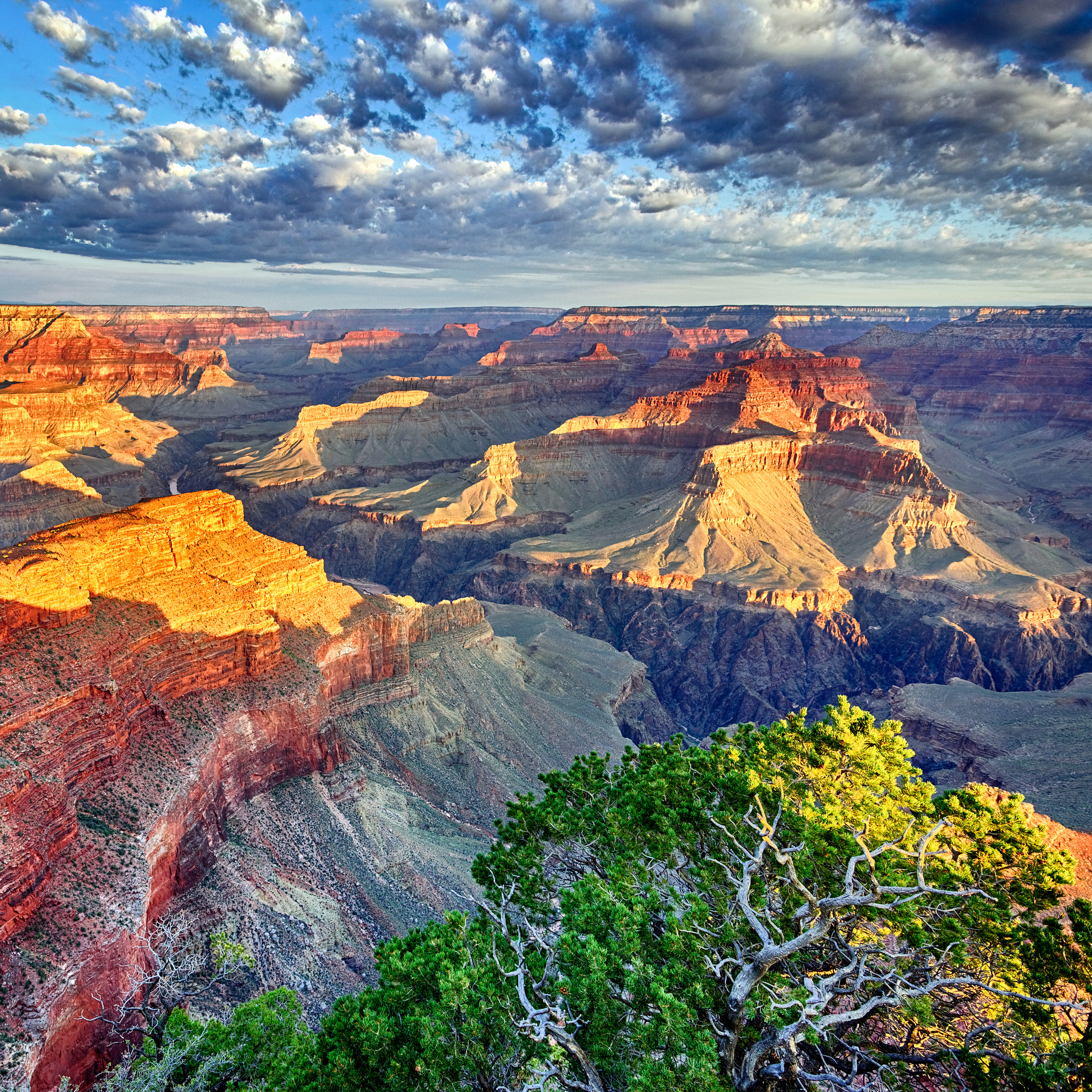 Grand Canyon