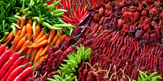 Creel Marked Mennonitter 150982019