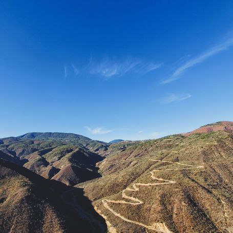 Oaxaca Skov I Bjergene 2516568709