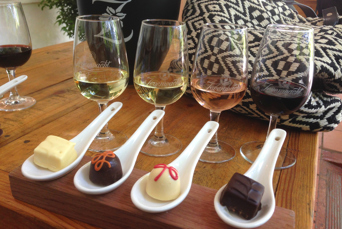 sydafrika - stellenbosch_vingaard_vinsmagning_02