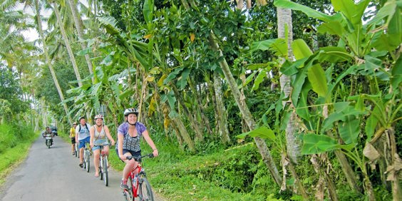 bali - gili cykeltur