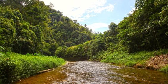 Batang Ai National Park Sarawak Flod 1856568217
