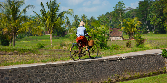 bali - Ubud_cykeltur_06