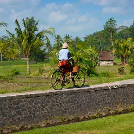 bali - Ubud_cykeltur_06