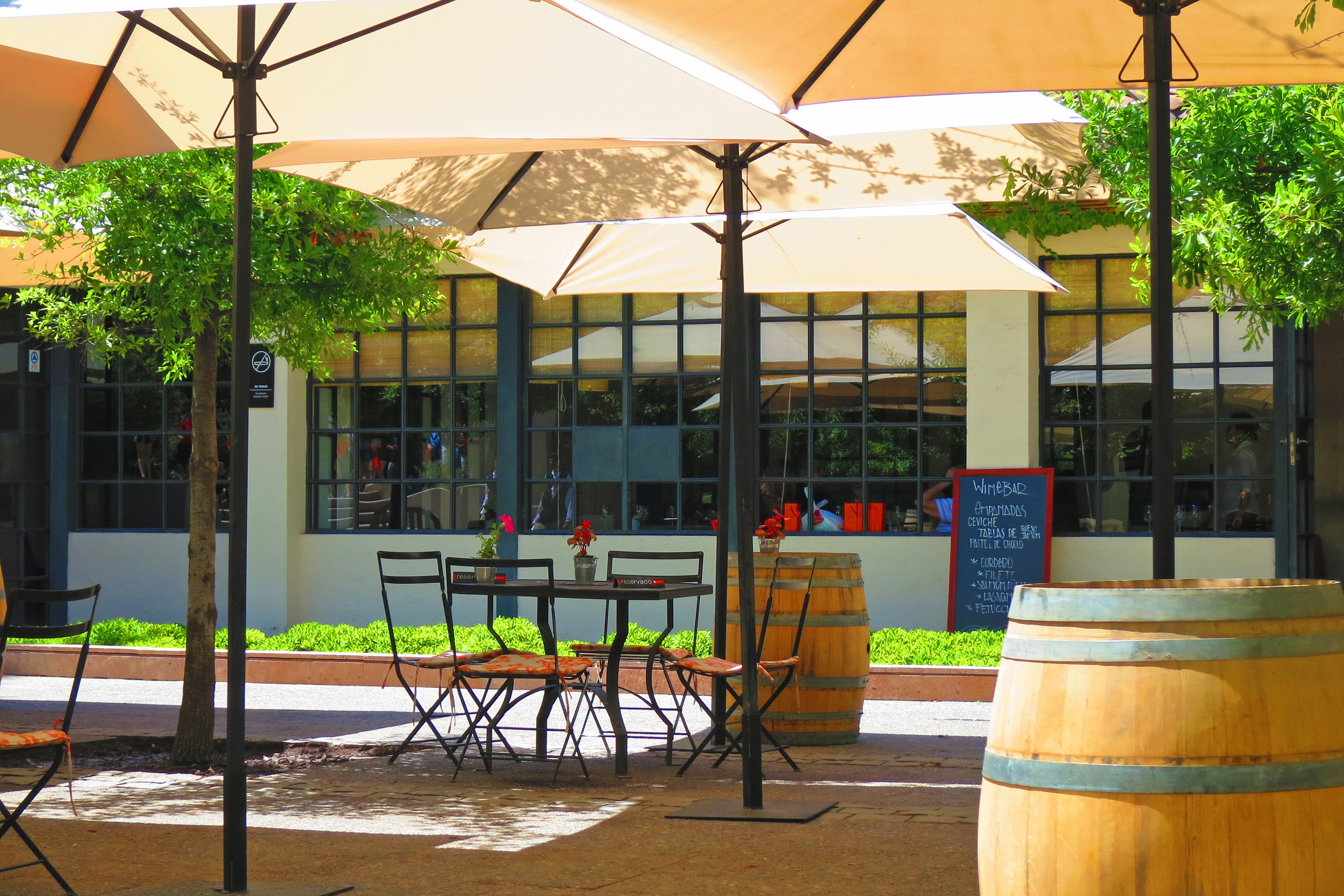 chile - concha y toro_vingaard_01