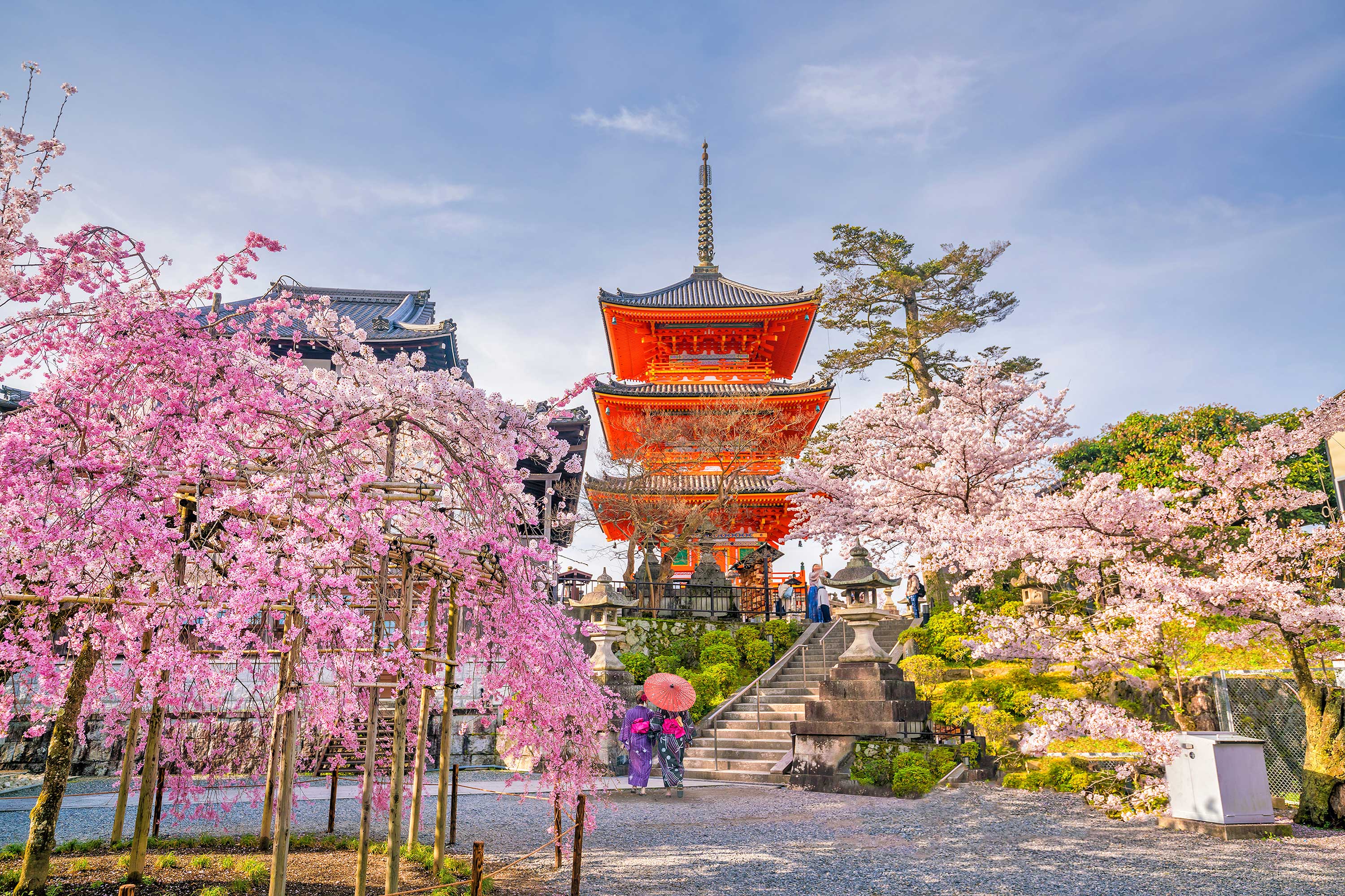 Kyoto Kiyomizudera Sakura