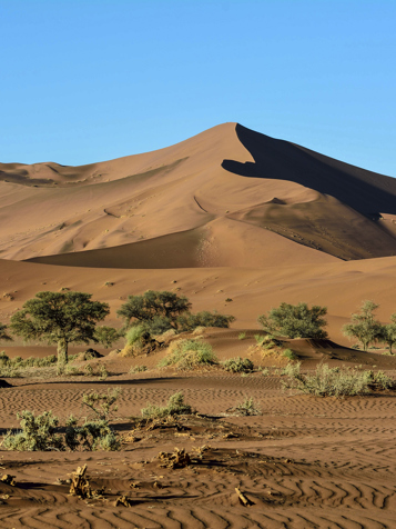 ...til de enorme sanddyner ved Sossusvlei.