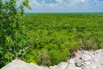 Yucatan Coba Udsigt 02