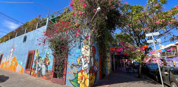 Vi ser Oaxacas mange smukke vægmalerier om dødedagene