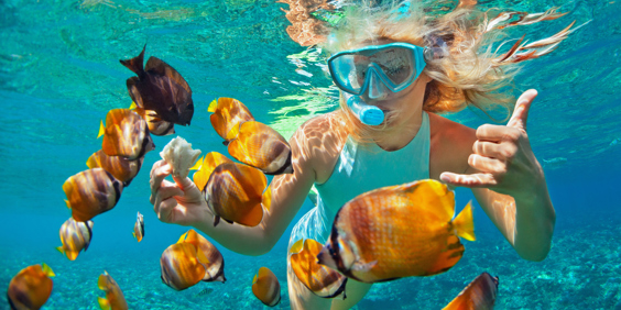 bali - bali_dykning_koral_05