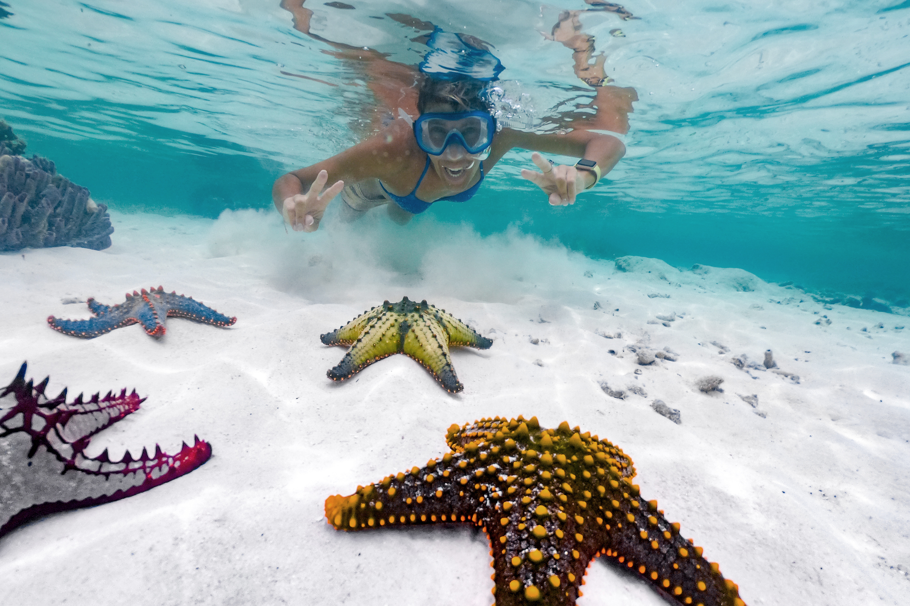 zanzibar_snorkel_coral_05