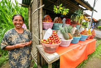 bali - bali_frugtbod_01