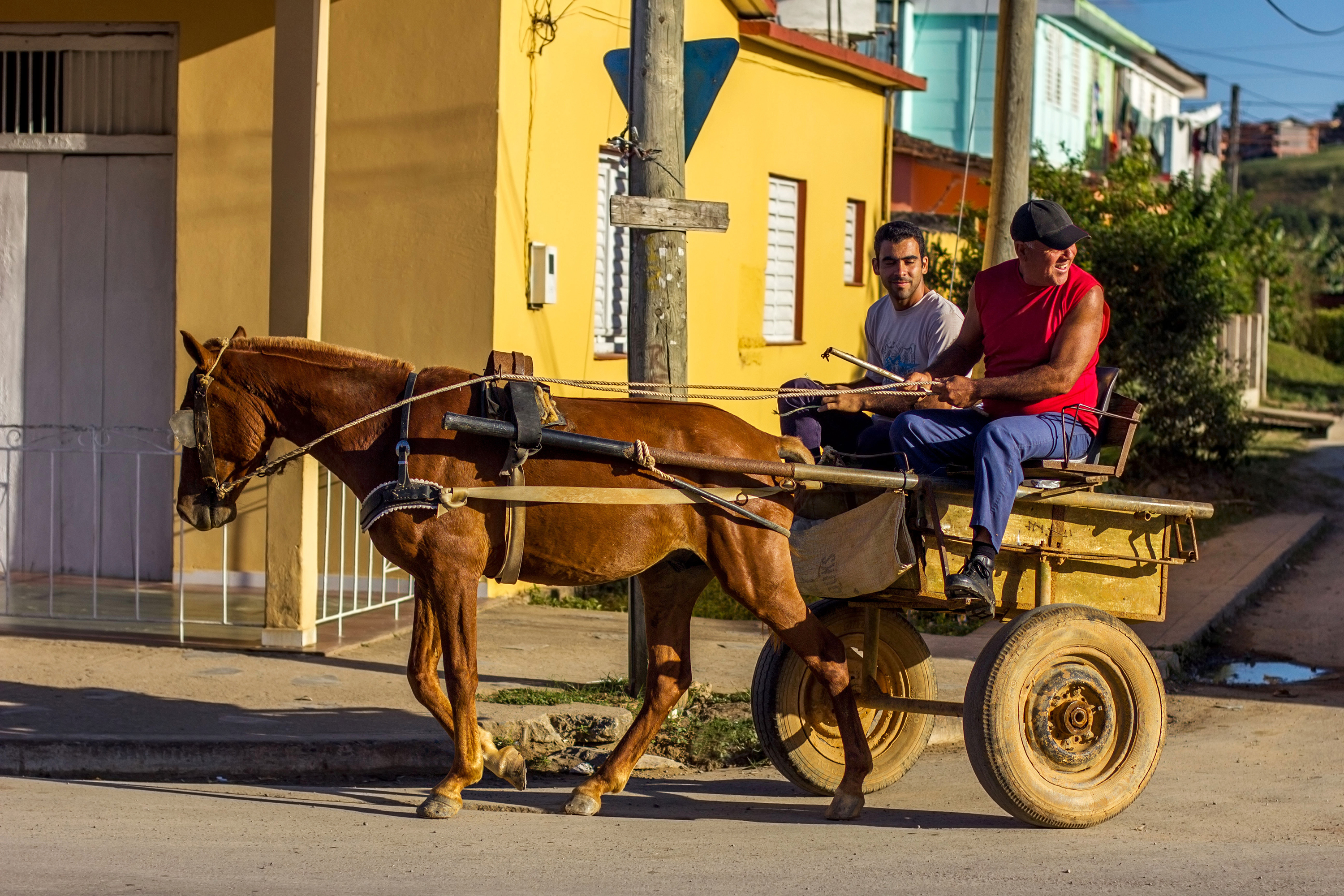 cuba - vinales_hestevogn_01