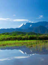 mount kinabalu_11