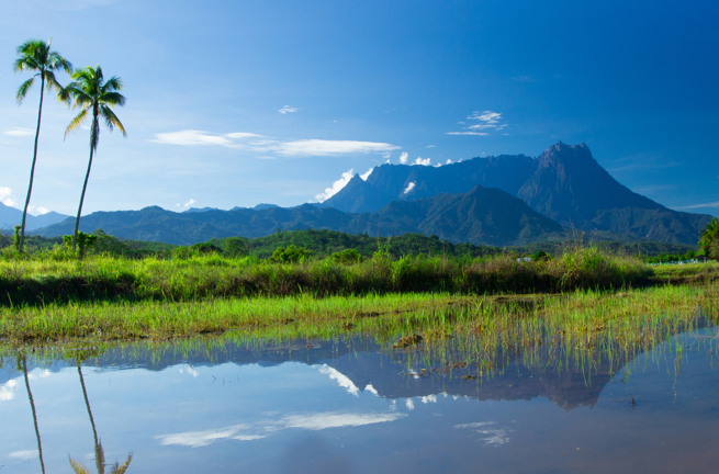 mount kinabalu_11