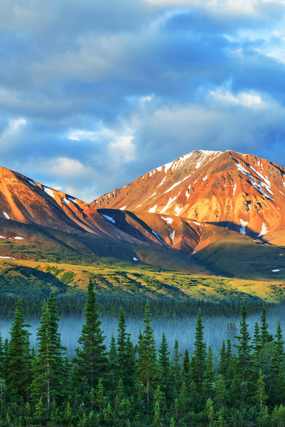 denali national park_alaska range_bjerge_02_hf