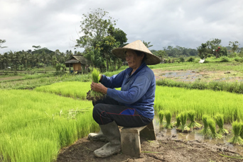 bali - Ubud_cykeltur_05