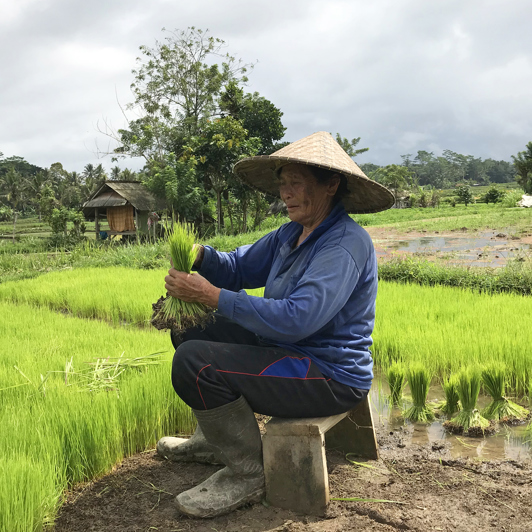 I skal også på cykeltur i den landlige idyl